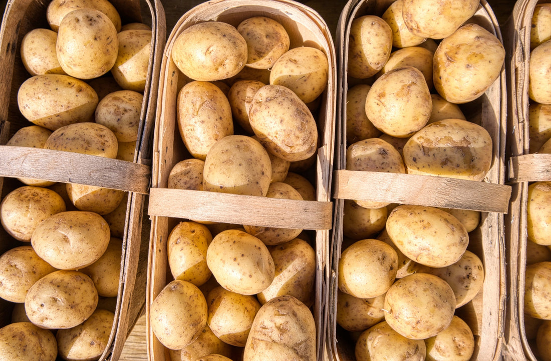 Mash your potatoes to perfection Zyliss UK