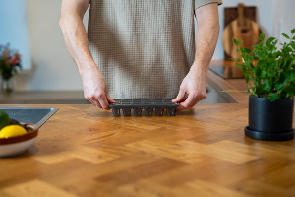 Closing the lid of a zyliss Classic Ice Cube Tray on a kitchen counter.