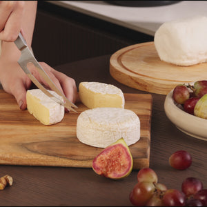 Zyliss Signature Soft Cheese Knife 109mm/4.3in — graphics interchange format (gif)