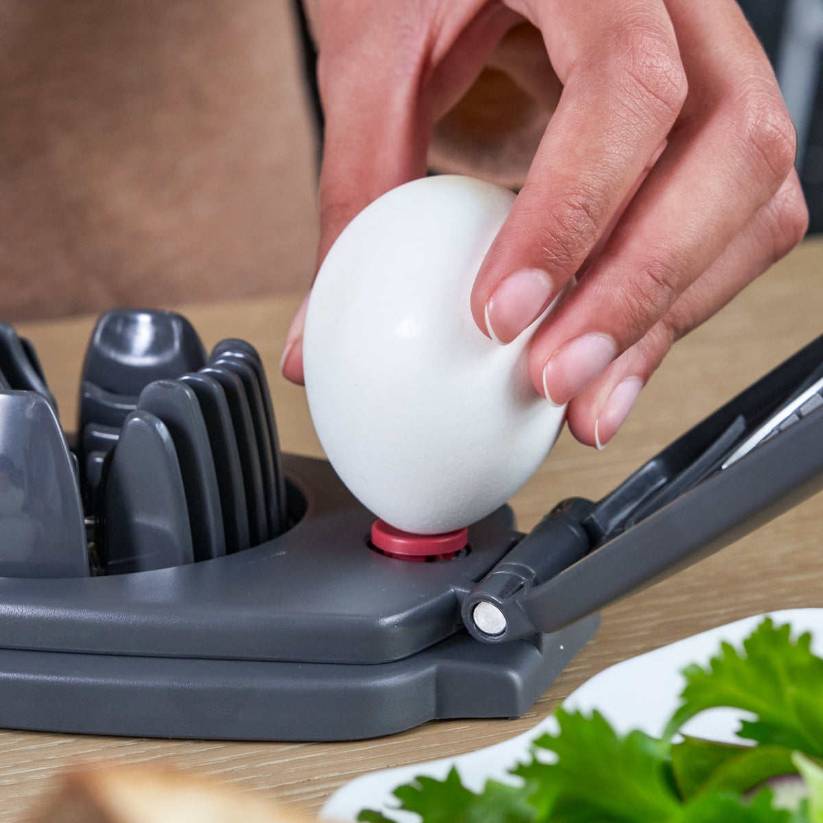 Egg Slicer